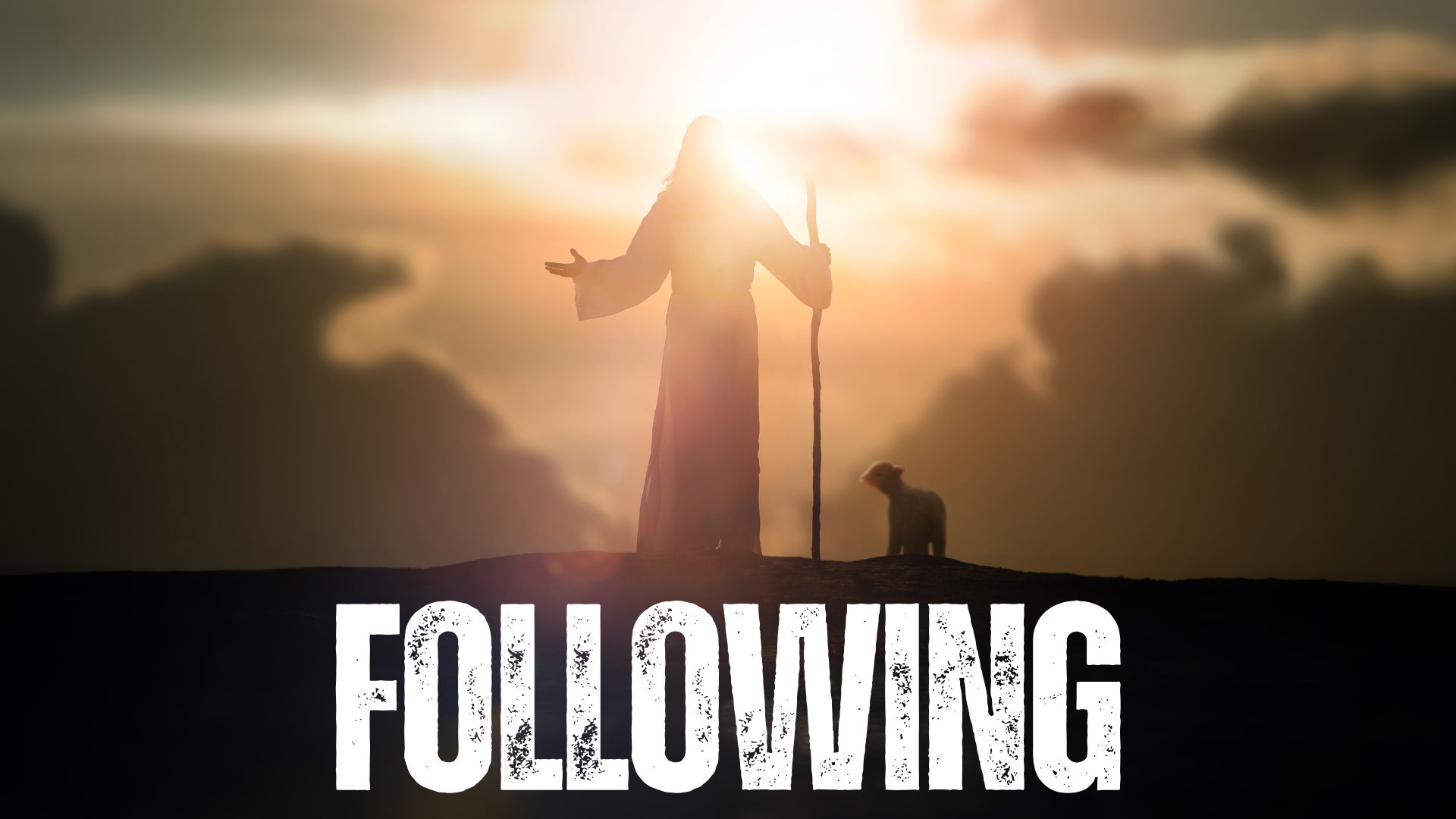 Wednesday Nights: Following