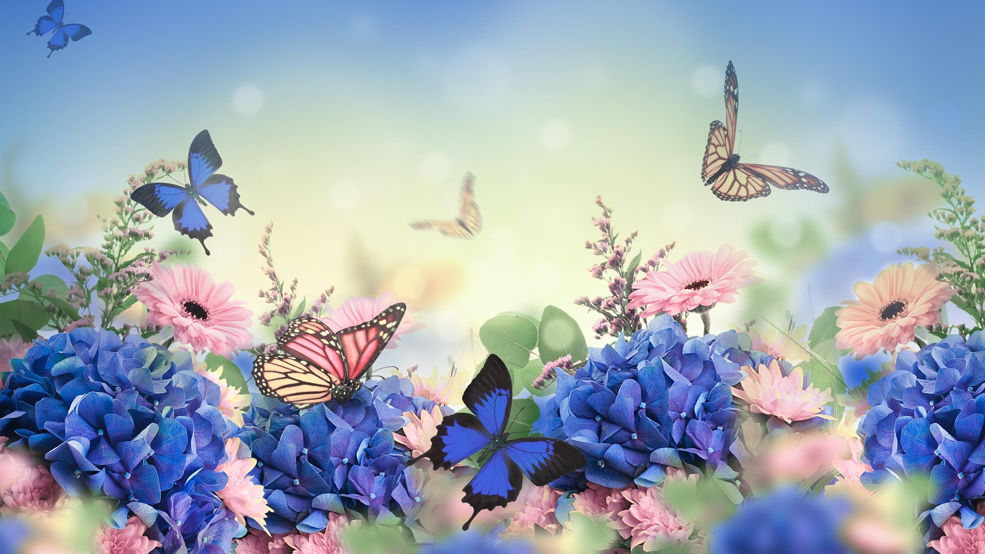 Compartiendo entre Amigas - Woodway