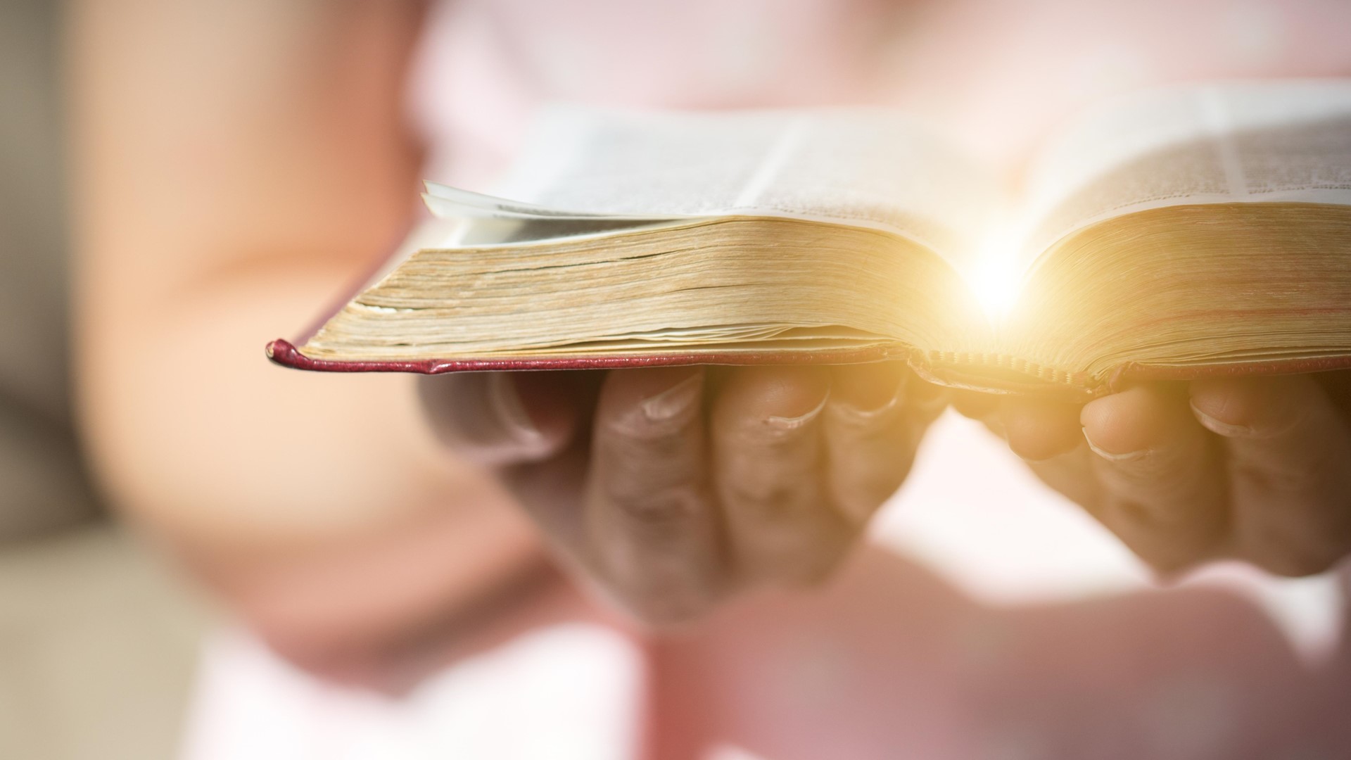 South Women's The Word Study